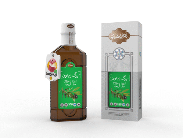 برگ-زیتون
